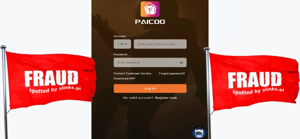 Enthüllung von Paicoo: Navigieren durch die Schatten des Kryptowährungsbetrugs