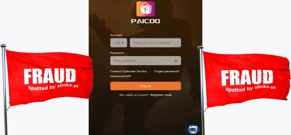 Unveiling Paicoo: Navigating the Shadows of Cryptocurrency Deceit